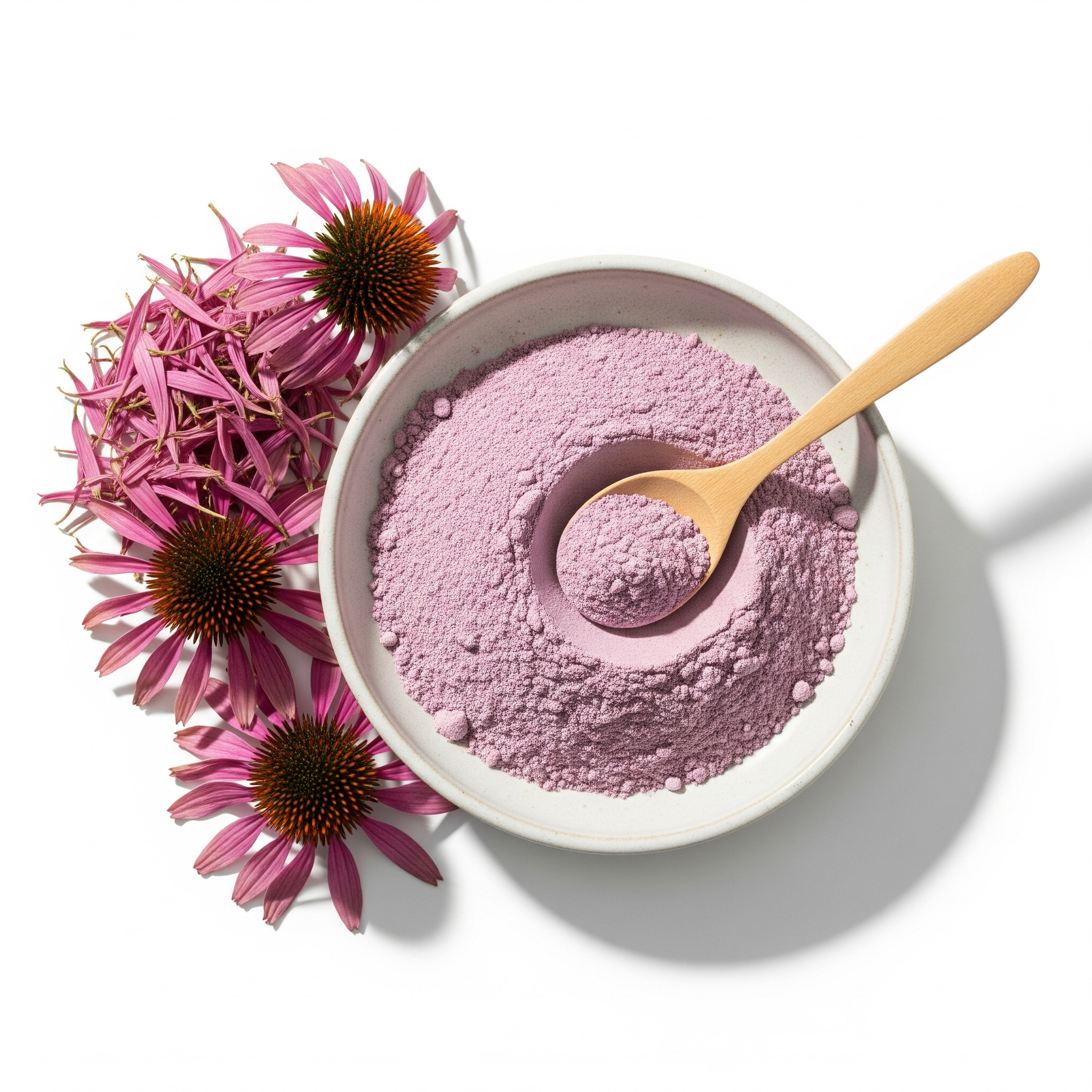 Purple Coneflower Extract